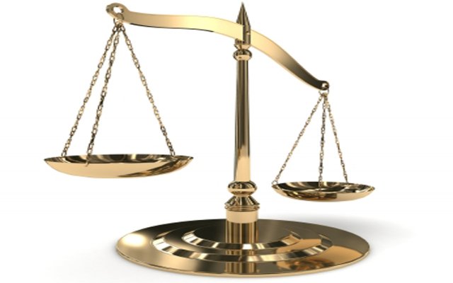 fierce bear growling